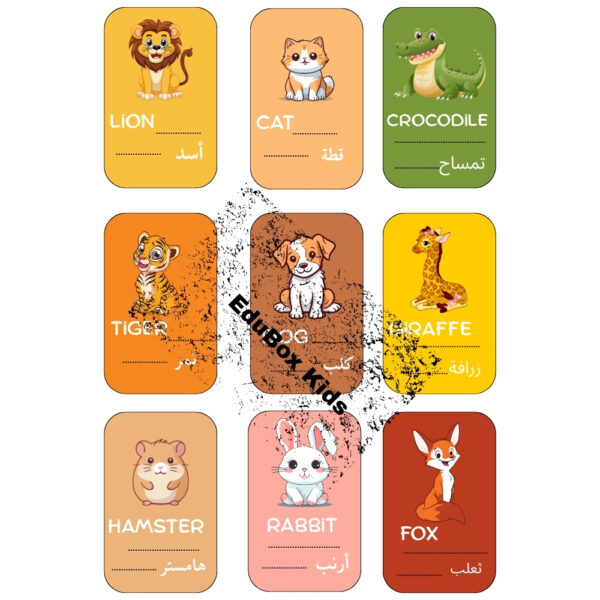 Bilingual Animal Flashcards: 9 Cards (English & Arabic)